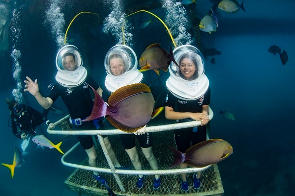 Tourists Diving on the Great Barrier Reef