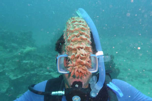 Underwater from Great Barrier Reef