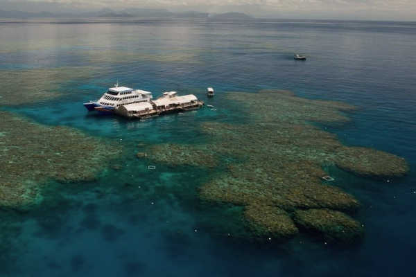 What is a Pontoon?