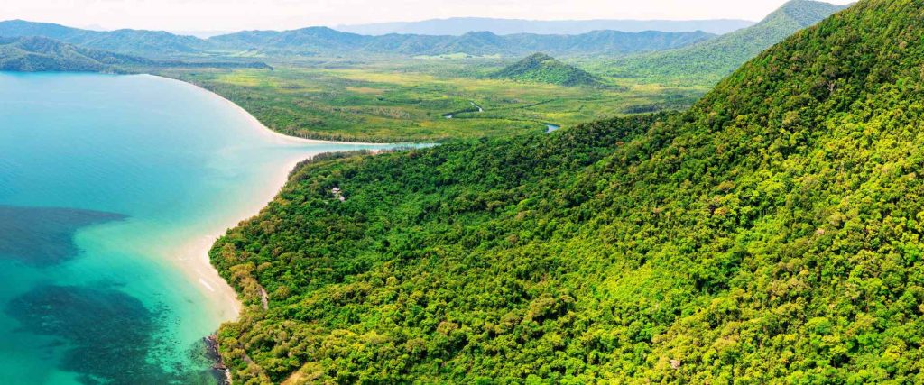 Daintree Rainforest Tours
