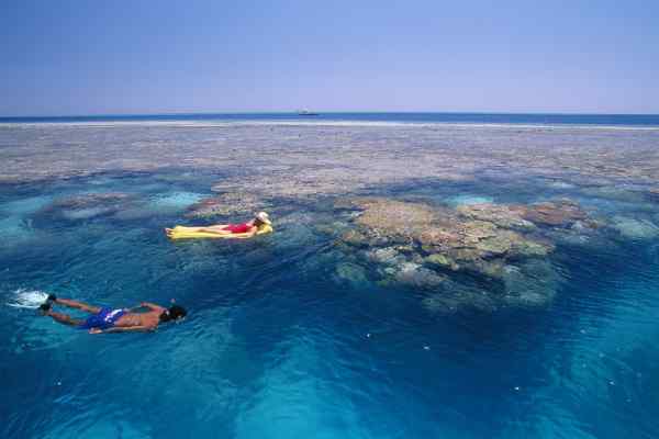 Someone snorkelling in Hardy Reef