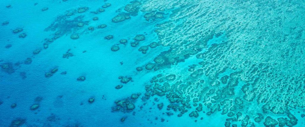 Clear blue waters of Hardy Reef in the Great Barrier Reef