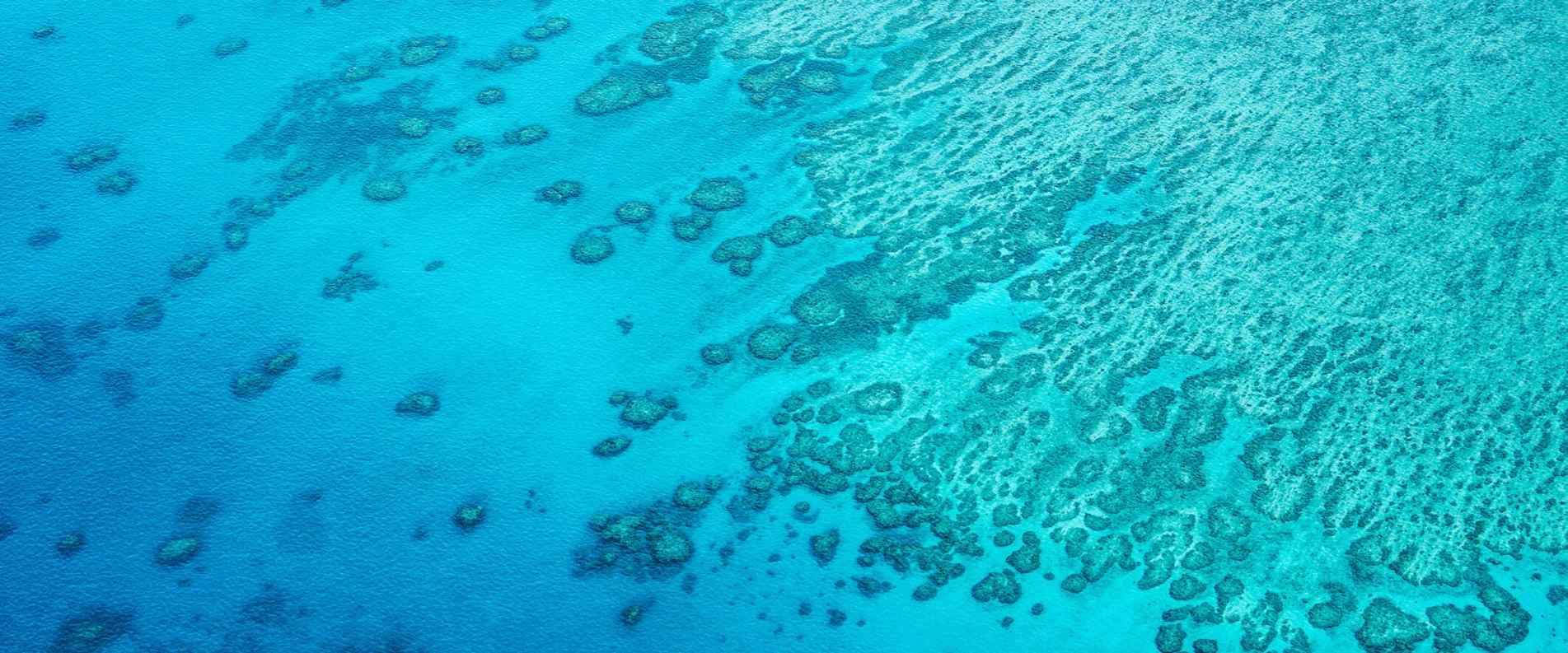 Clear blue waters of Hardy Reef in the Great Barrier Reef