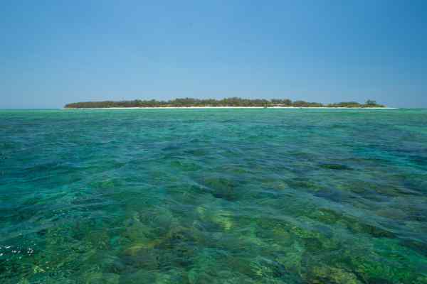 Blue clear waters around Lady Elliot Island