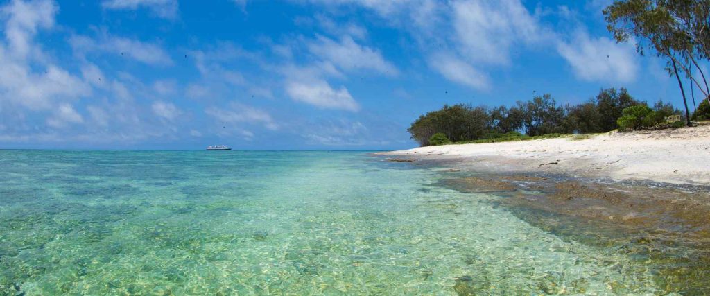 Clear blue waters and white sand on Lady Elliot Island at the Great Barrier Reef